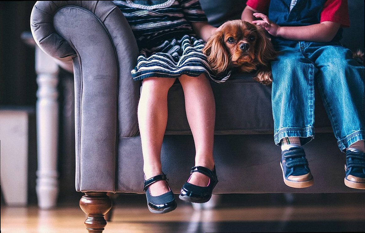 children, dog, pet, cute, footwear, girl, boy, kids, people, shoes, sitting, animal, sofa